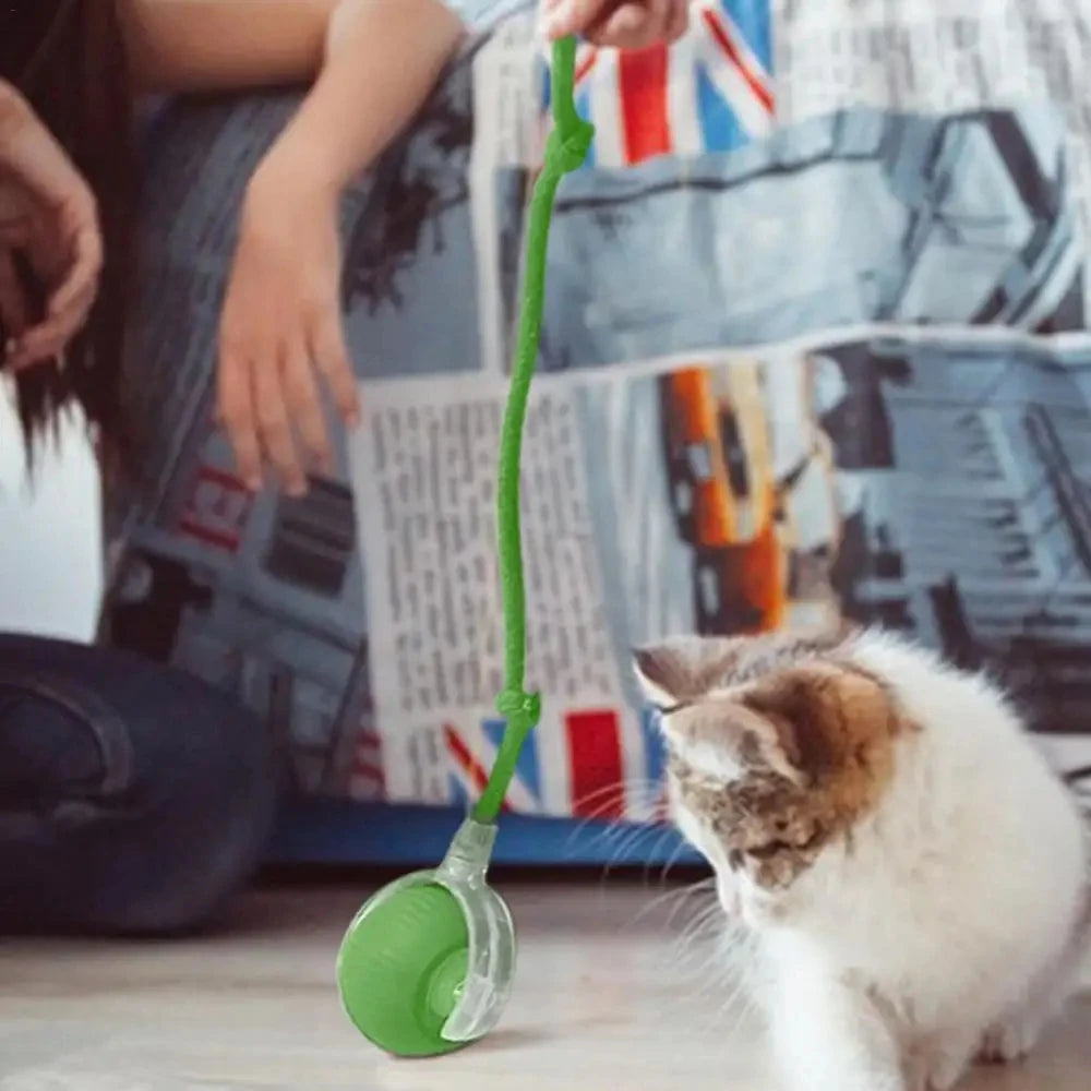 Interactive Moving Cat Toy Ball With LED And Rope Tail