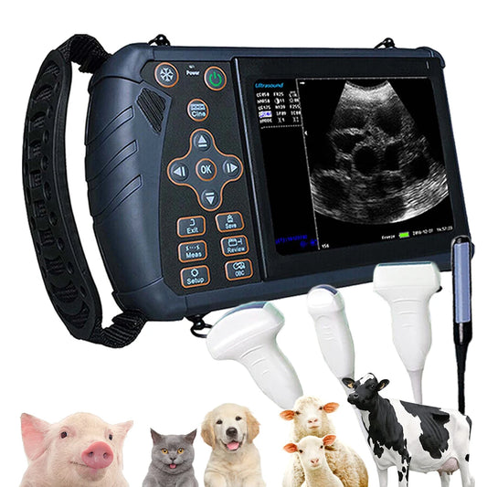 Dawei Portable Veterinary Ultrasound Scanner For Pregnancy Testing