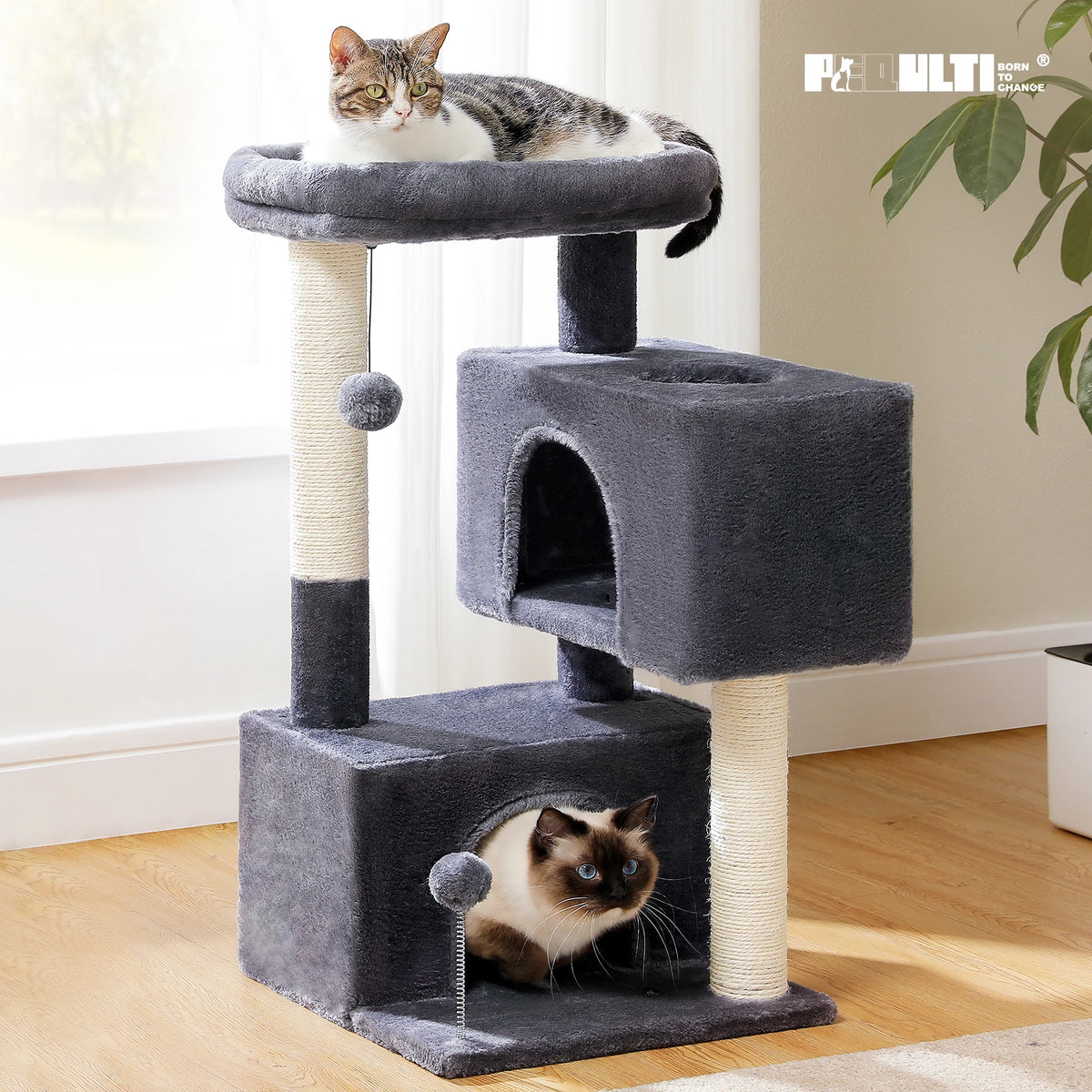 PAWZ Road Multi-Level Cat Tree With Condos And Sisal Scratching