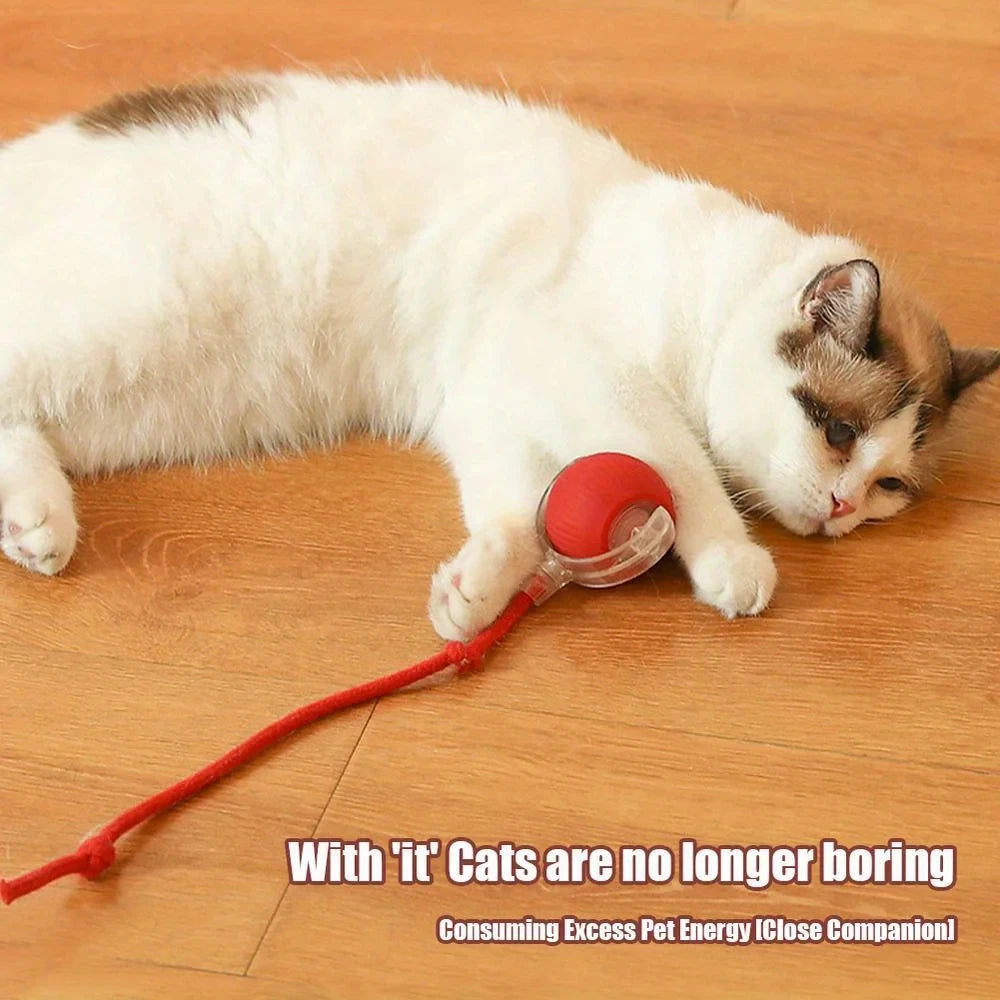 Interactive Moving Cat Toy Ball With LED And Rope Tail
