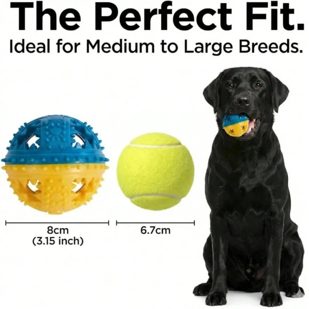 Adjustable Dog Feeder Stand with Slow Feed Bowl and Ball