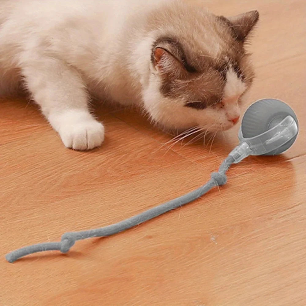 Interactive Moving Cat Toy Ball With LED And Rope Tail
