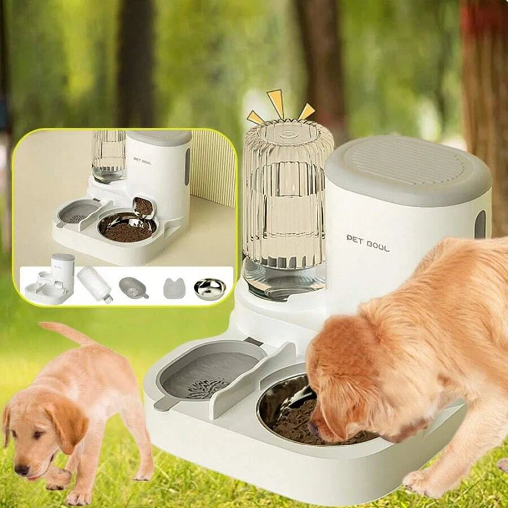 Automatic Cat Feeder And Water Dispenser With Dual Pet Bowl