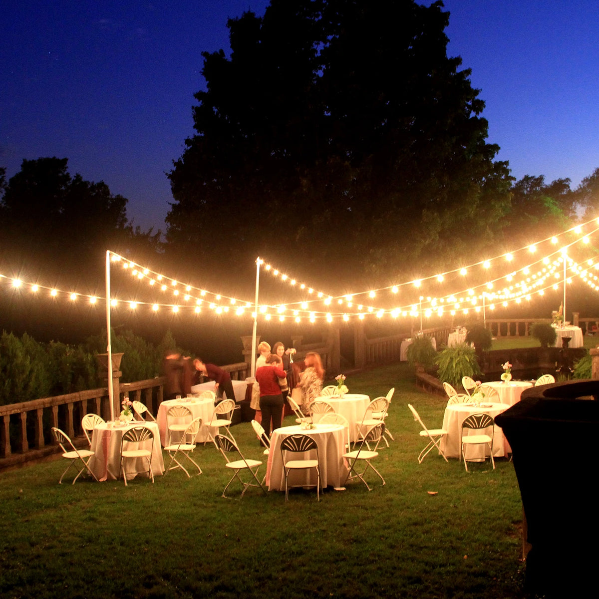 ST38 LED Globe String Lights With Replaceable Shatterproof Bulbs
