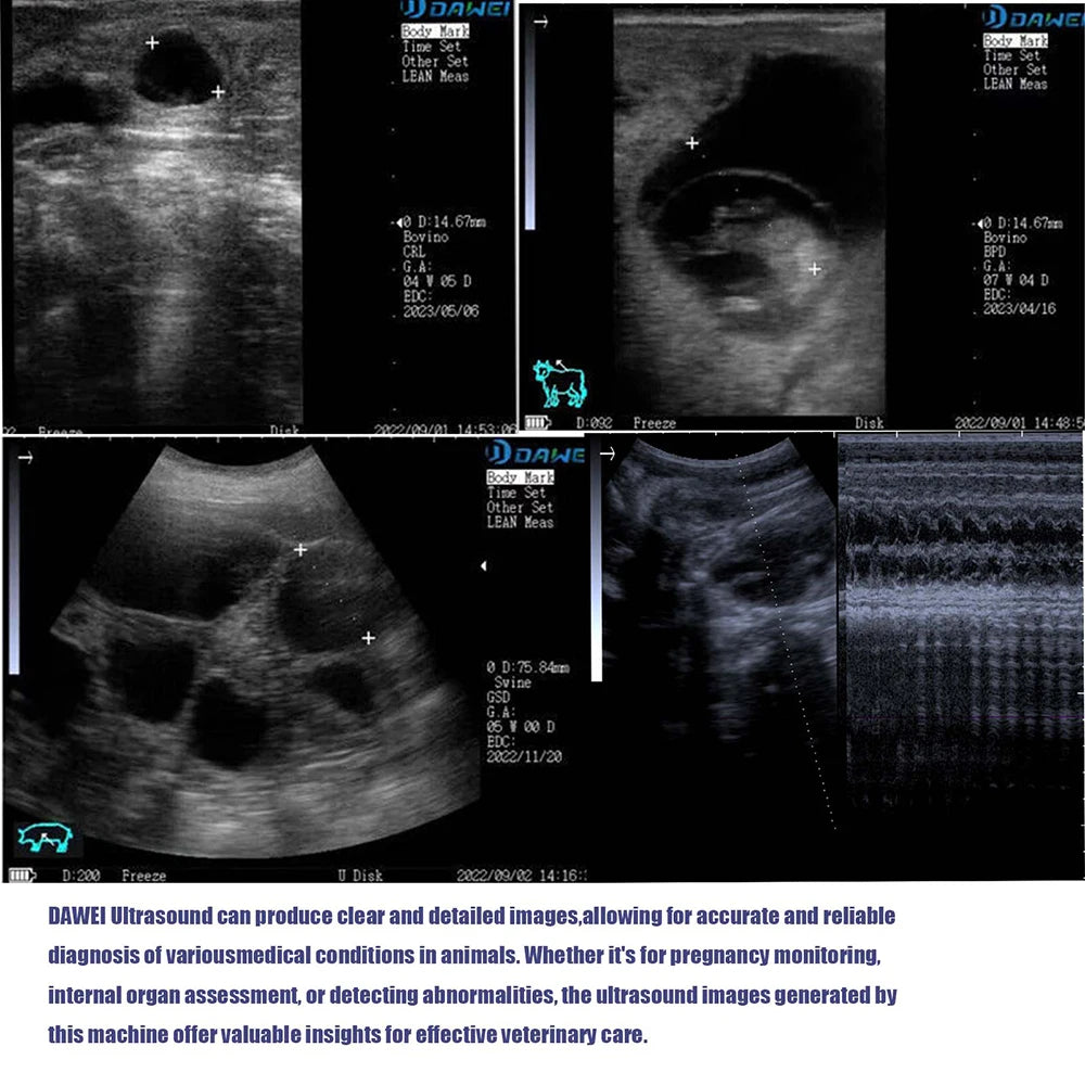 Dawei Portable Veterinary Ultrasound Scanner For Pregnancy Testing