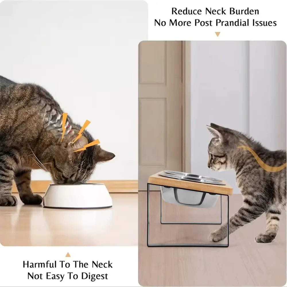 Elevated Tilted Cat Bowls With Wooden Stand And Steel Dishes